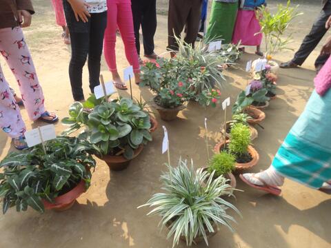 Flower Show by the Youth of CBC (Youth Festival first day.)